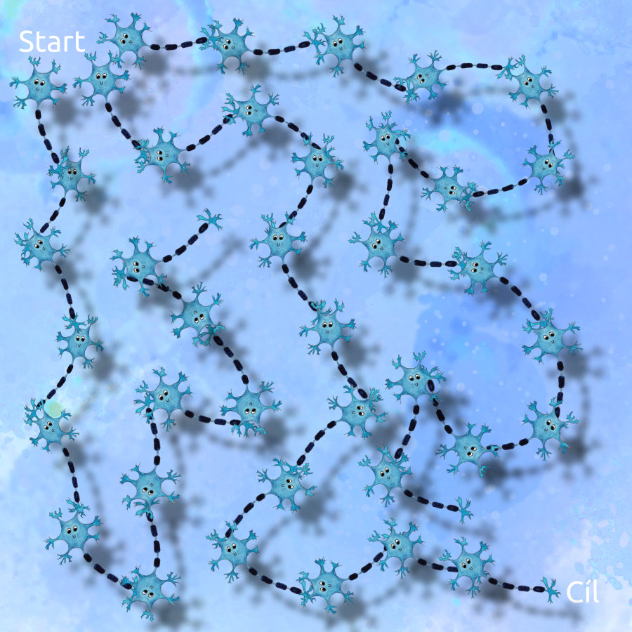 Bludiště synapsí – najdi cestu od Startu do Cíle